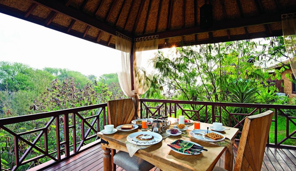 THE TREE HOUSE RESORT